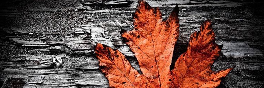 JasonBurnett_'s profile banner image
