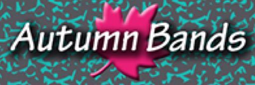 AutumnBands's profile banner image