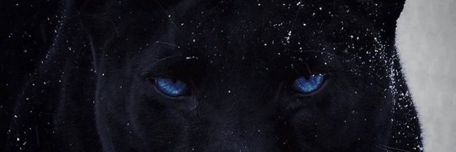 darrick1_'s profile banner image