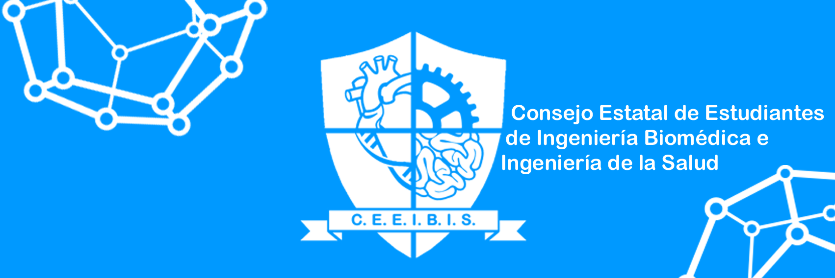 CEEIBIS banner