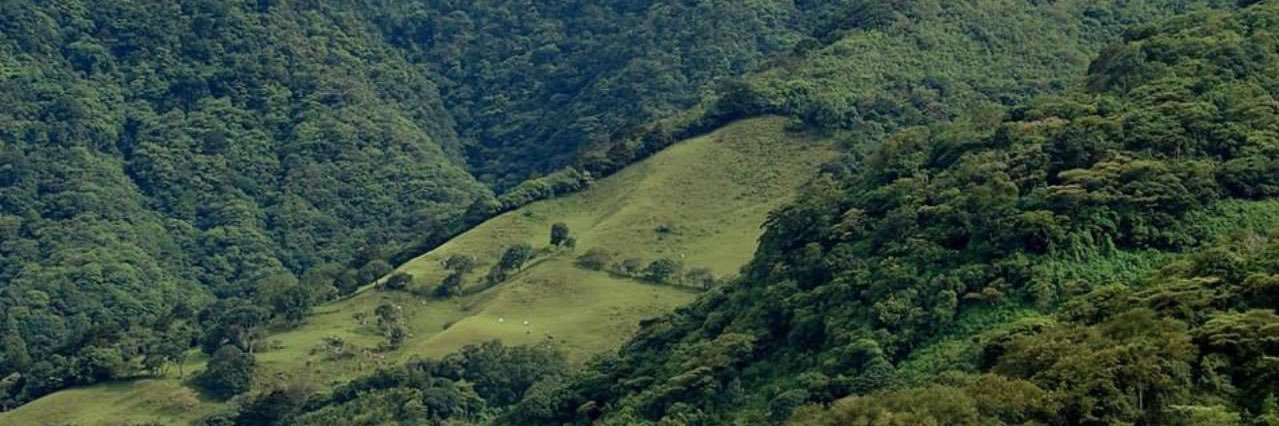 mundoescazu's profile banner image