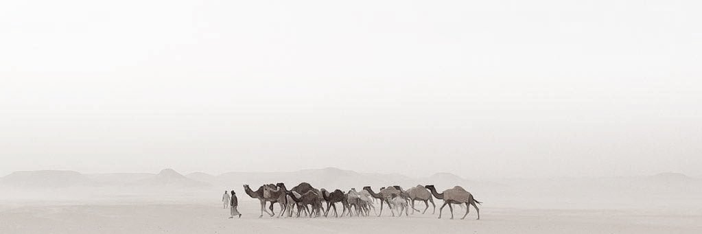 SSSAlSaud's profile banner image