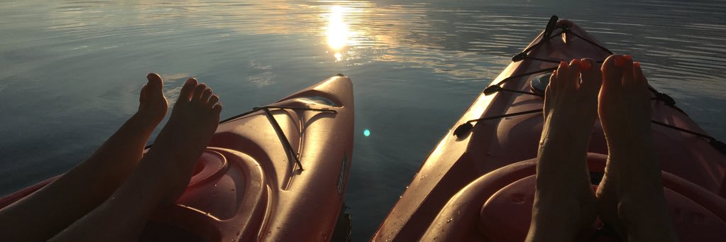 Michelle Castellani banner