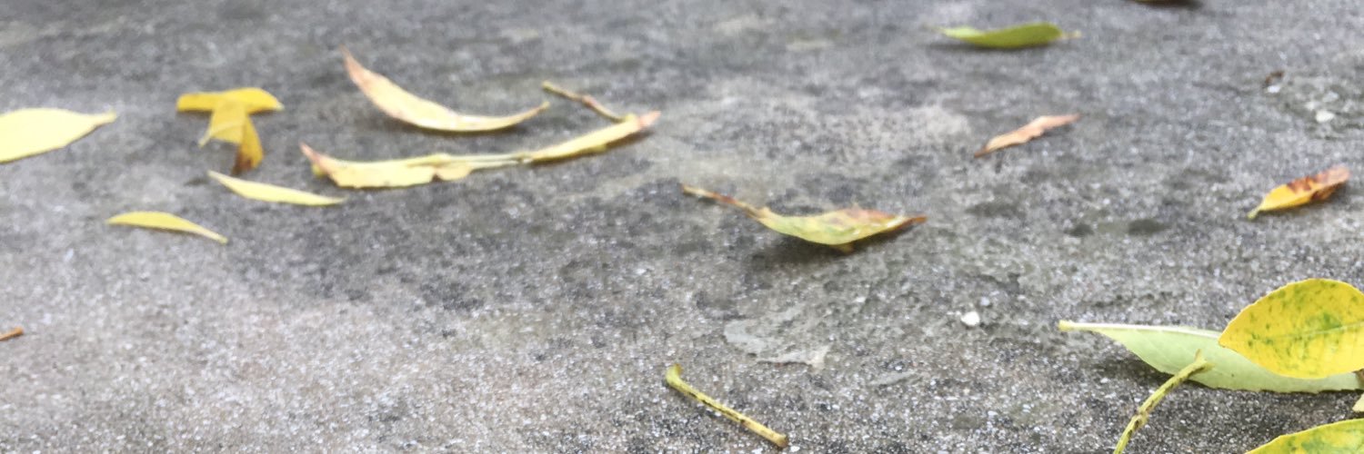 CheekBaleigh's profile banner image