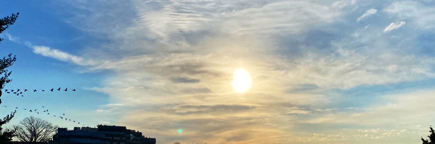 Alexandria Phelps banner