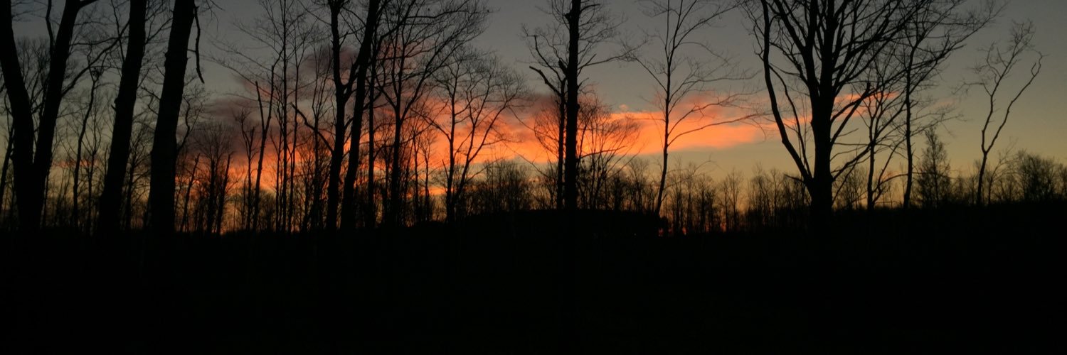 huntresskelli's profile banner image