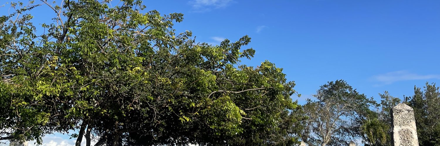 Cherline 🧚‍♀️ banner