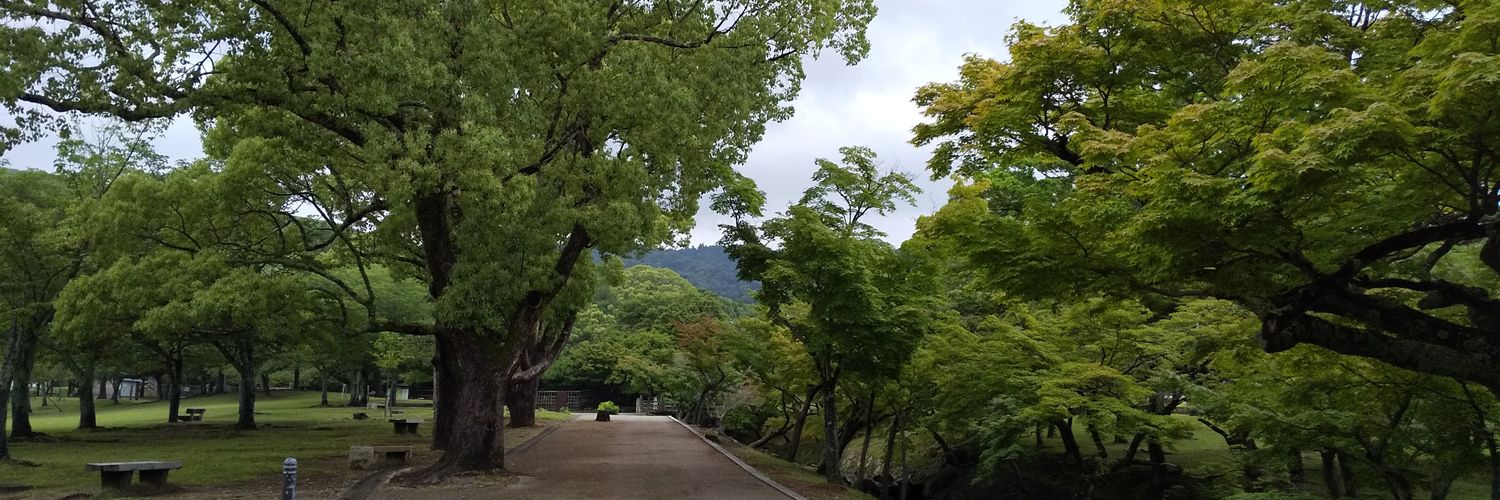 no34_nara's profile banner image