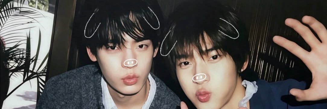dec ✿˖° banner