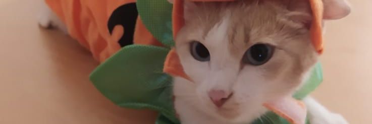 Carla_429's profile banner image