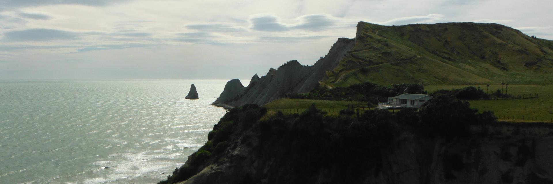 stapleshb's profile banner image