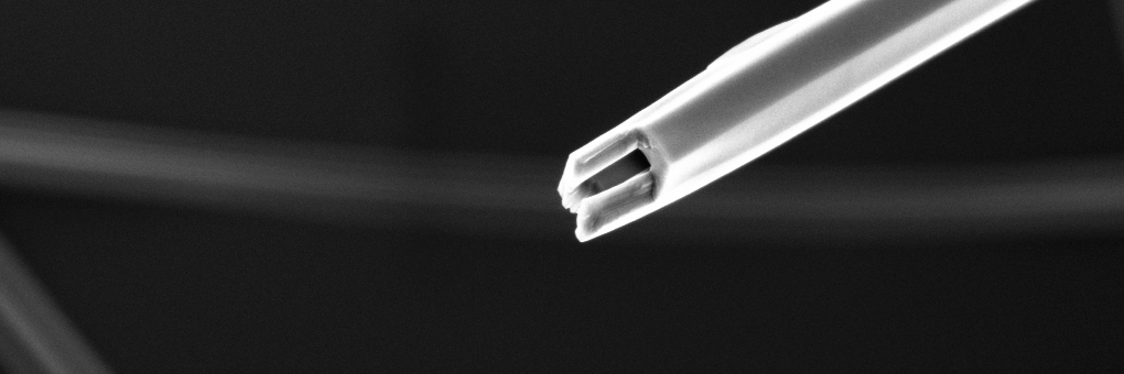 Biophysical group banner