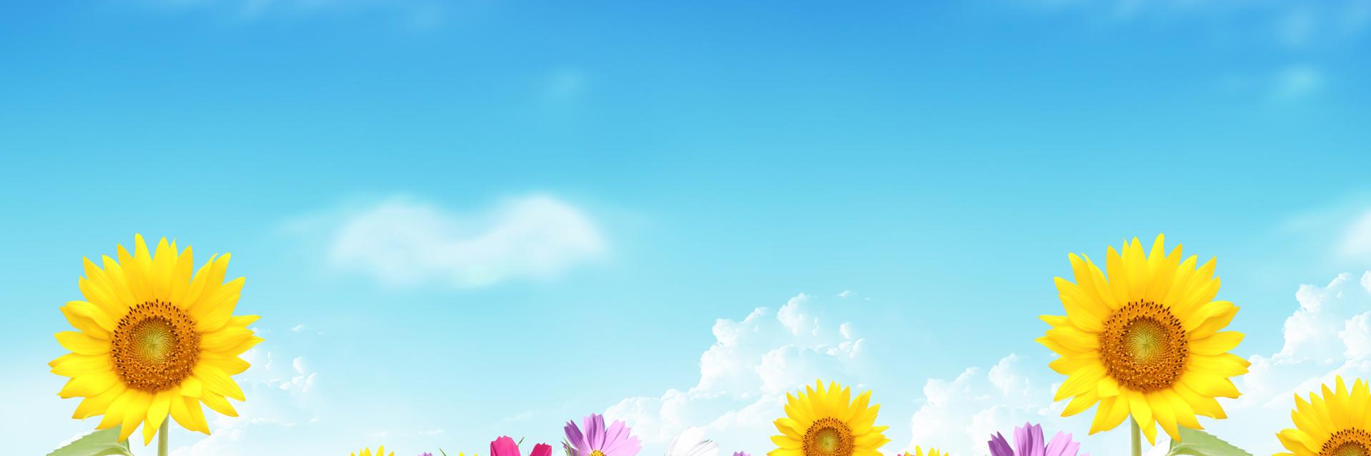gharb_eg's profile banner image