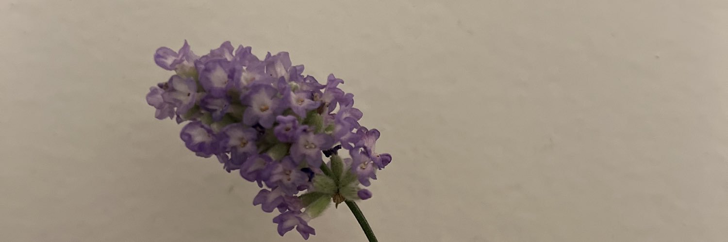 ms_corinne's profile banner image