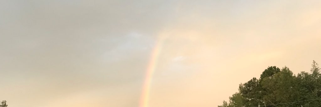 seewallsrun's profile banner image