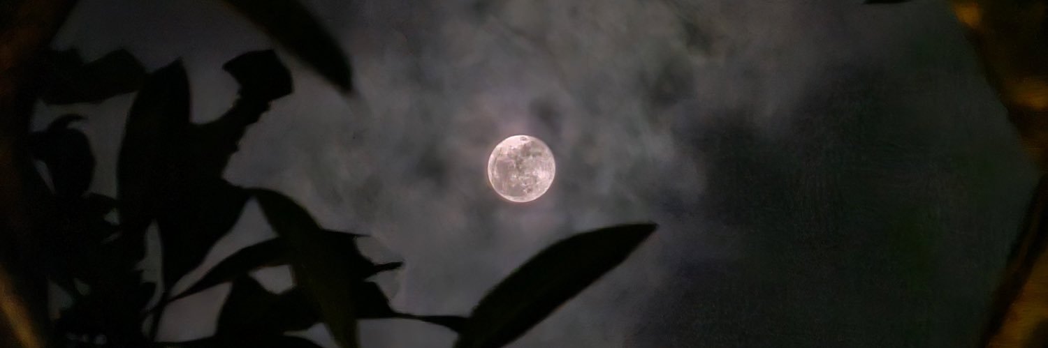 sinurul_ans's profile banner image