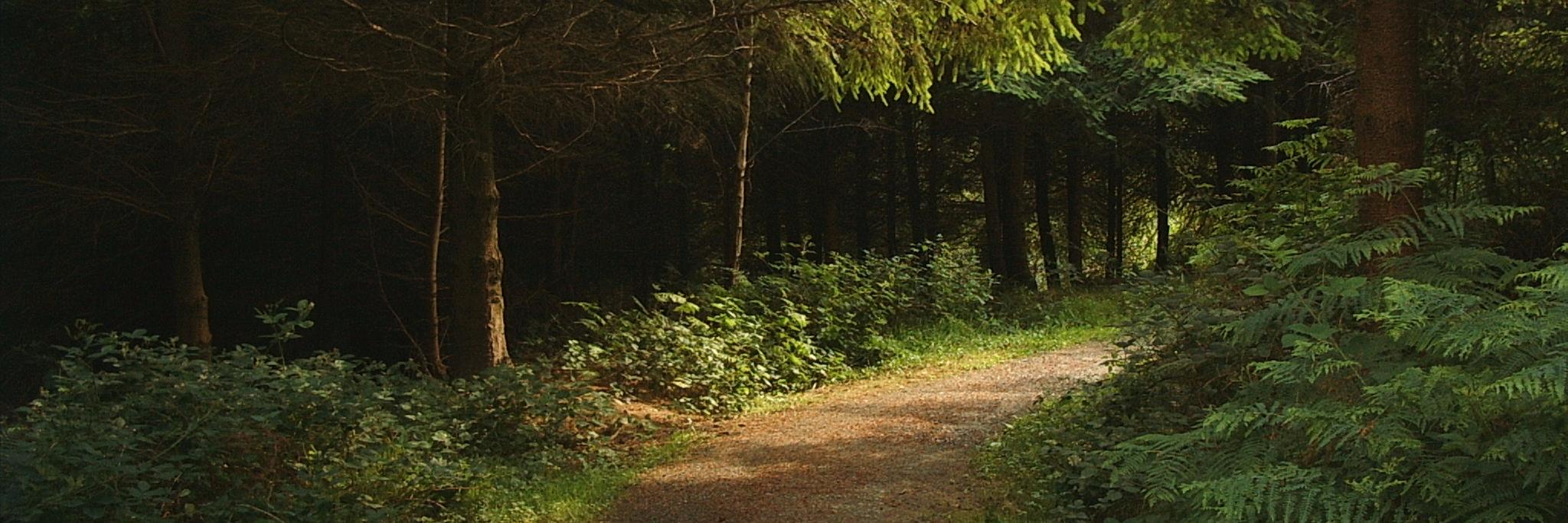DeepstFearsz's profile banner image