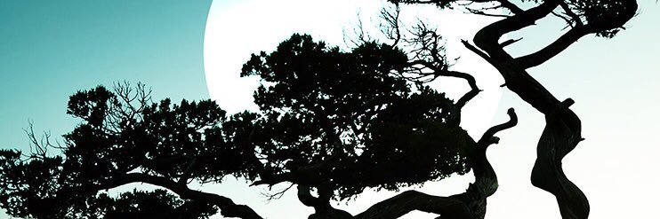 thiago__ramoss's profile banner image