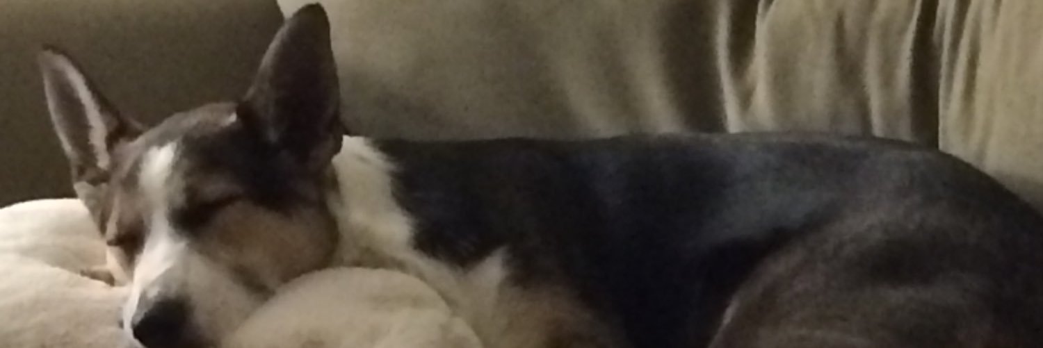 SaraBuffBuff's profile banner image