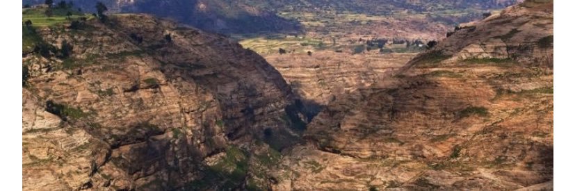 tselalabrha's profile banner image