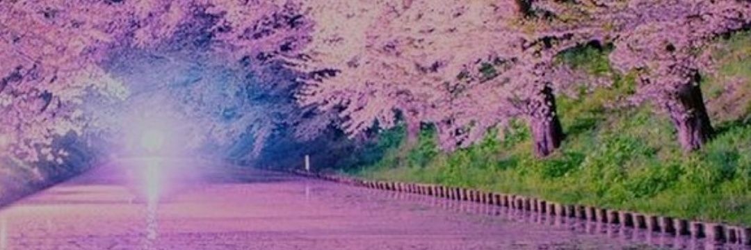 Fifi banner