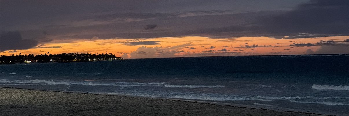 diansaalas's profile banner image