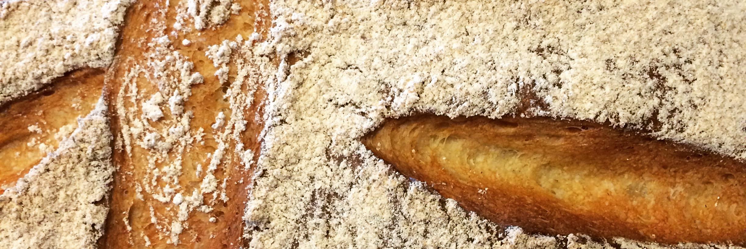 The Jaded Fork banner