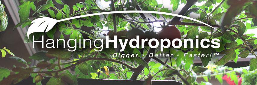 hanging_hydro's profile banner image