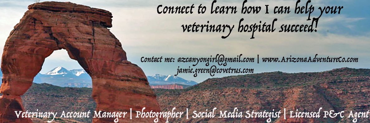 az_jamie's profile banner image