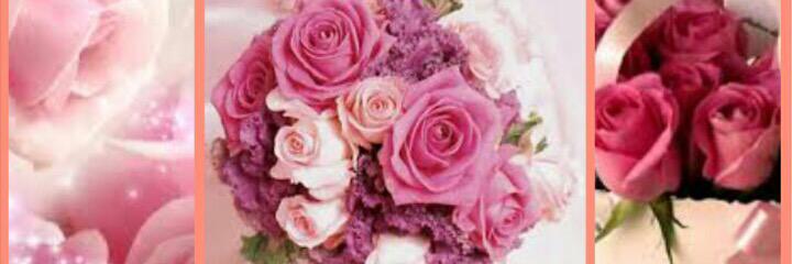 bnt_mshaan's profile banner image