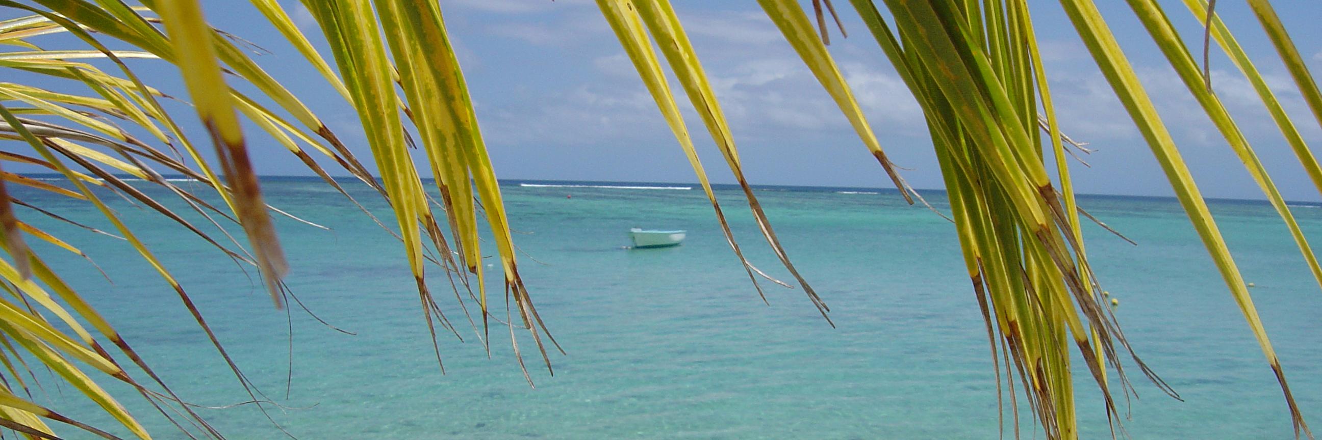 coChangeHawaii's profile banner image