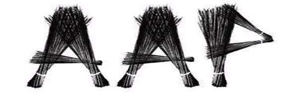 Pung_AAP's profile banner image