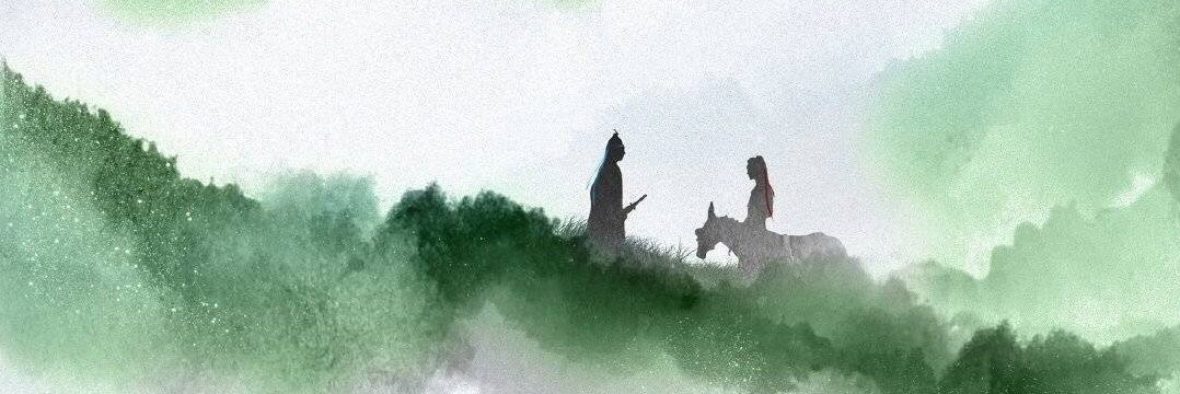 daobahu's profile banner image