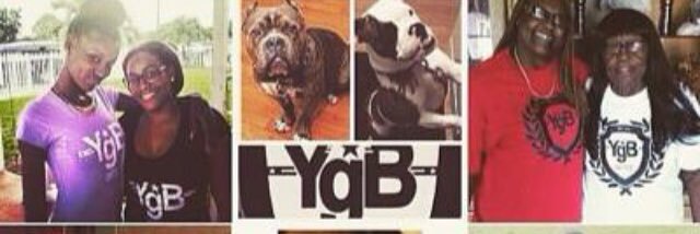 ygbunited's profile banner image