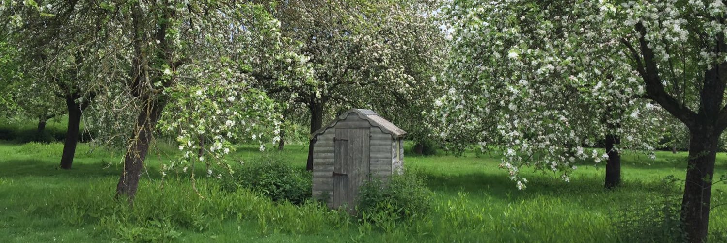 appleshedcreate's profile banner image