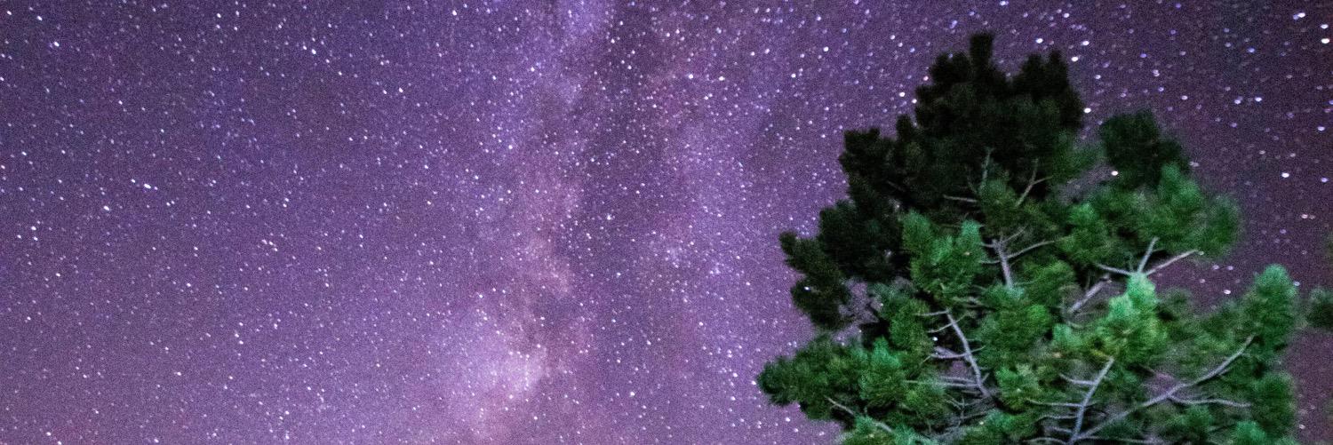 javabaker's profile banner image