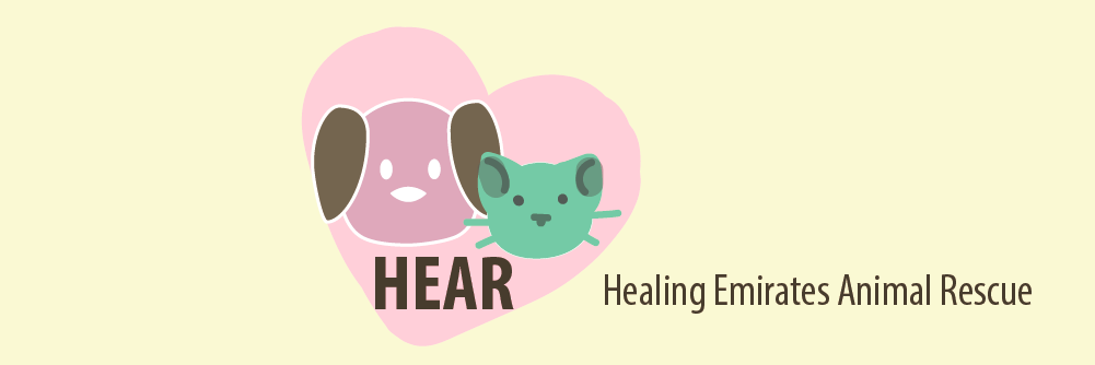 HearCampaign's profile banner image