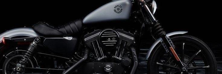 Armando Rodríguez banner