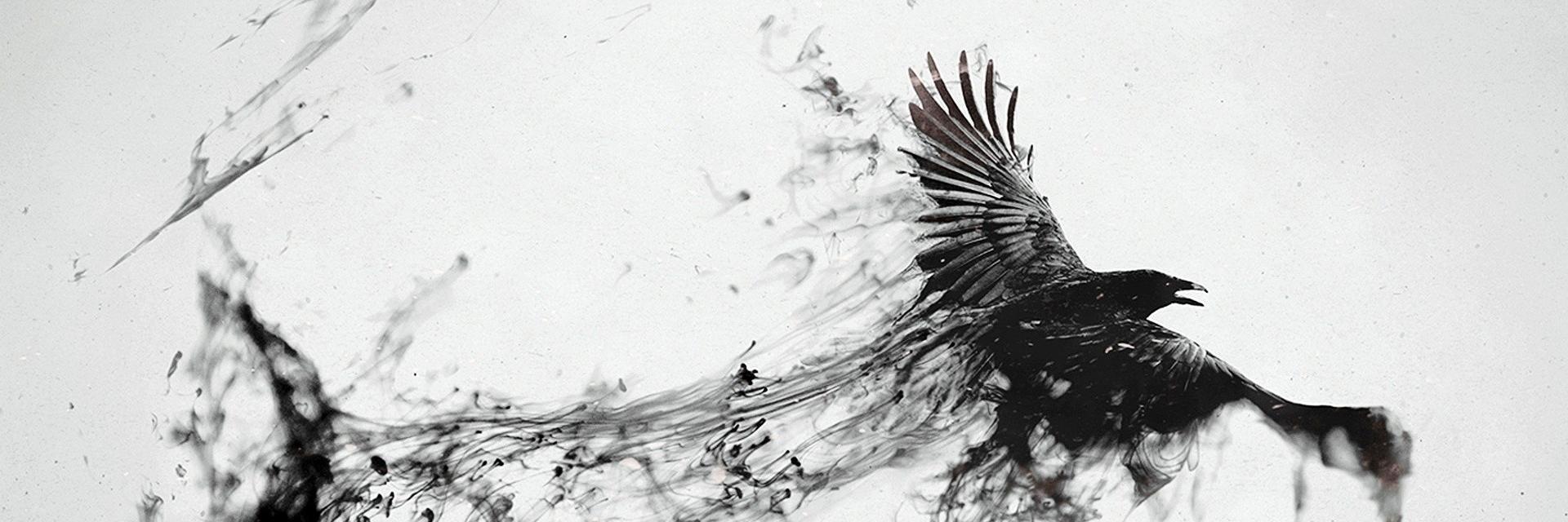 theravenflies's profile banner image