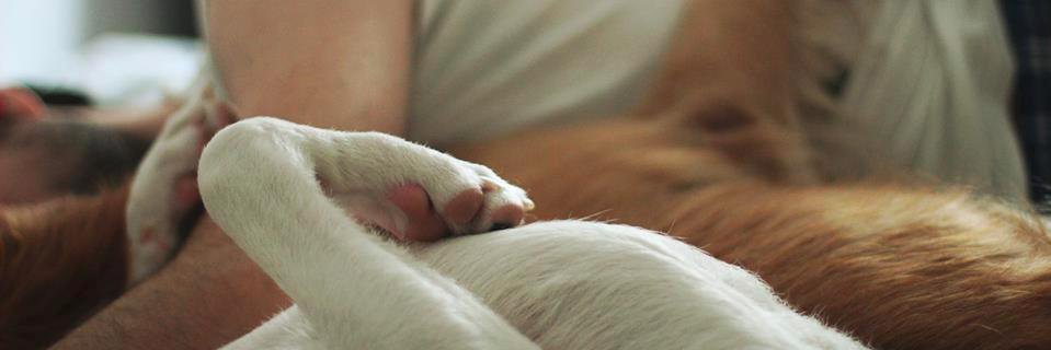 Ibai Irastorza banner