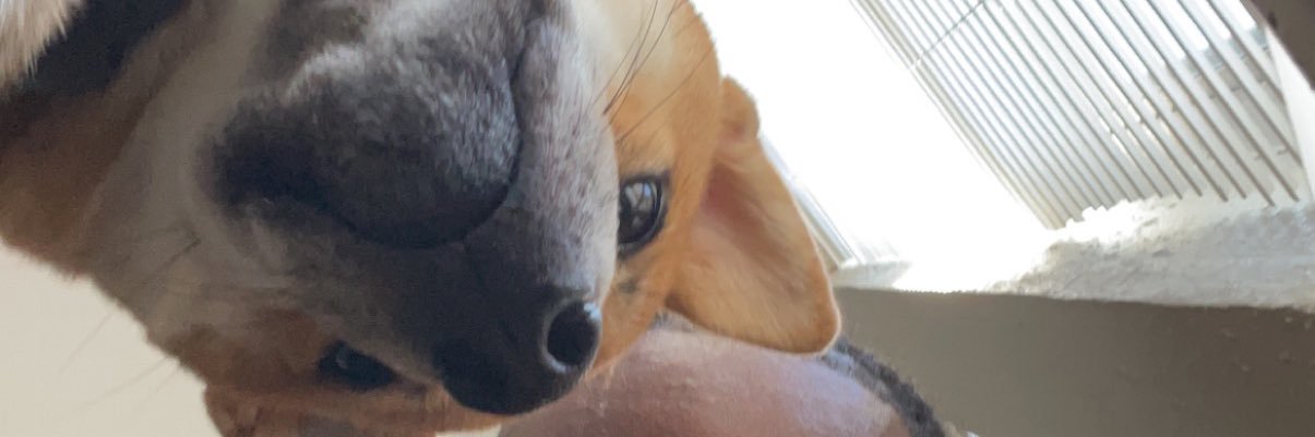 Scoota Bob 🧀 banner
