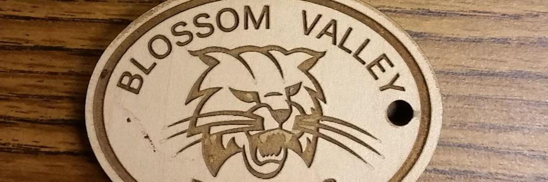 Christina Shields banner