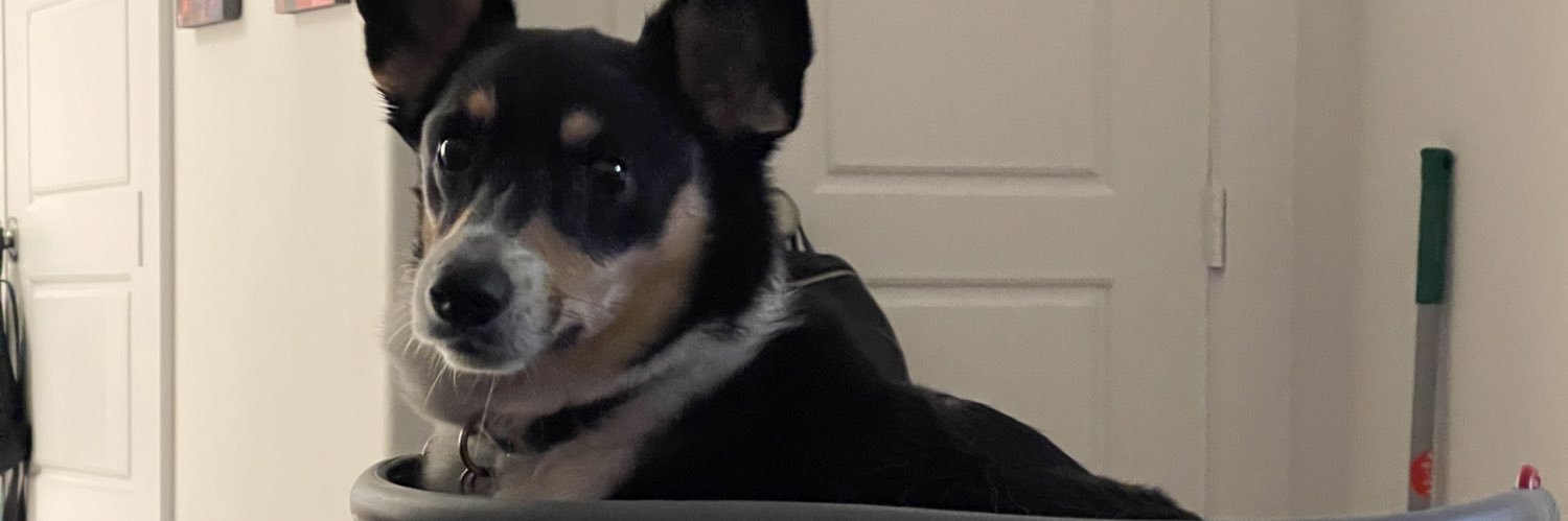 ray_sierra's profile banner image