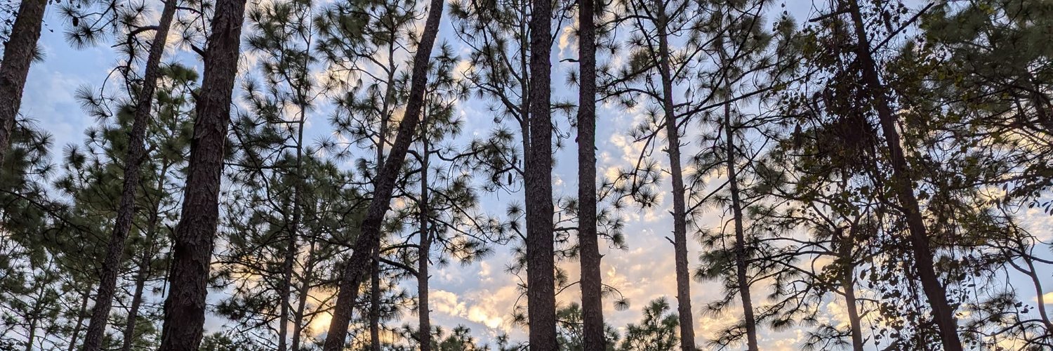 ryan_burgett's profile banner image