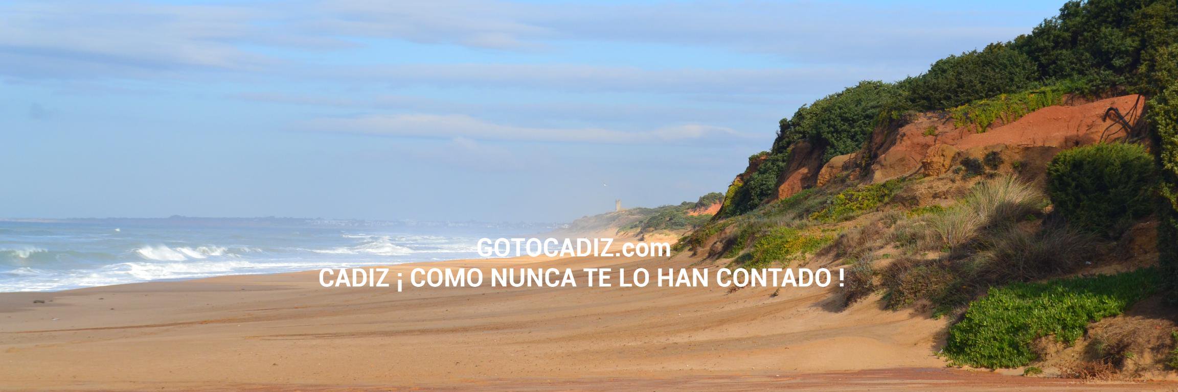 gotocadiz's profile banner image
