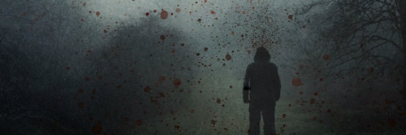 vladimirfoton banner