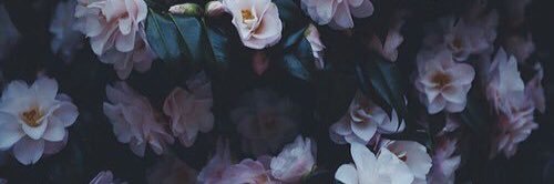 Gabriel85455883's profile banner image
