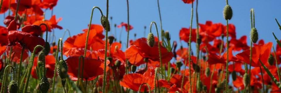 funmumoffour's profile banner image