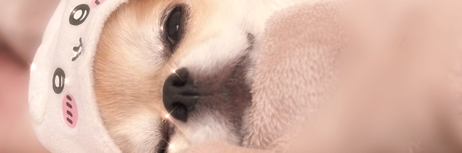 p_qcr4's profile banner image