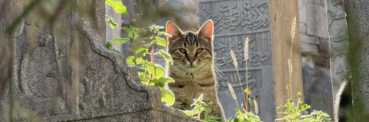 unalabdulkadir's profile banner image